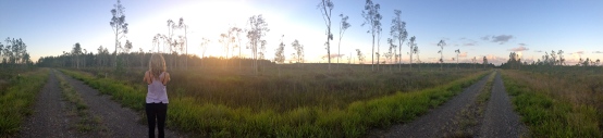 Camping sunset walks/kangaroo hunts